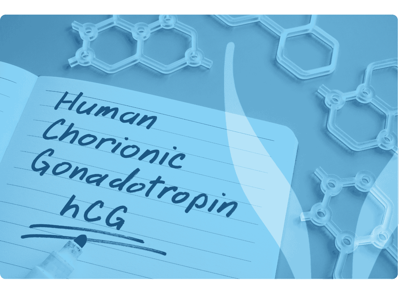 hCG lidský gonadotropin ilustrační obrázek (2)